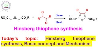 Hinsberg Synthesis of Thiophene Application of Stobbe Condensation Reaction Lecture 3 [upl. by Lathrope726]