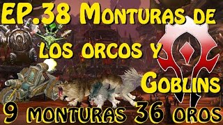 Monturas wow  EP38  Monturas de los orcos y goblins  9 monturas por 36 oros [upl. by Malita]