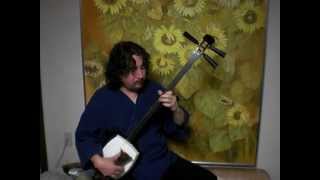 Tsugaru Shamisen Fur Elise Beethoven 三味線 Arr for Japanese Shamisen [upl. by Teodoor]