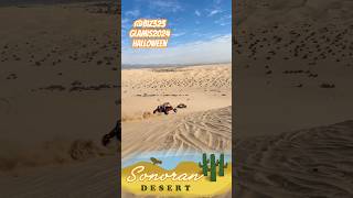 Glamis Halloween 2024 was a success glamis halloween offroad [upl. by Enowtna]