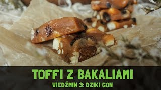 TOFFI Z BAKALIAMI Z GRY WIEDŹMIN 3 DZIKI GON [upl. by Aihtak]