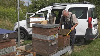 Zu Besuch bei einem Imker aus Neubrandenburg [upl. by Rebane]