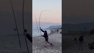 Surfcasting in Sicilia in Pendulum cast surfcasting surffishing fishing longcasting viralvideo [upl. by Jezabel]