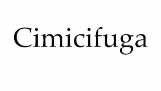 How to Pronounce Cimicifuga [upl. by Netsirhc195]