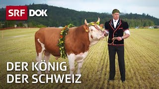 Der König der Schweiz – Vom Schwingen und seinen Helden  Doku  SRF Dok [upl. by Nolra]