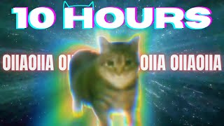 OIIA OIIA CAT 10 HOURS [upl. by Bibi991]