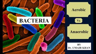 Aerobic Vs Anaerobic Bacteria by Dr Umair Khan I Bacteriology I Microbiology [upl. by Stern]