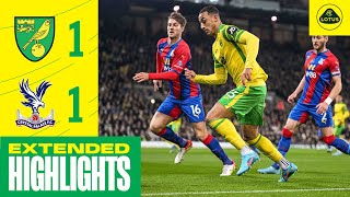 EXTENDED HIGHLIGHTS  Norwich City 11 Crystal Palace [upl. by Ahseila]