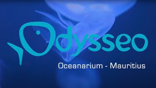 Odysseo Oceanarium  Port Louis Mauritius [upl. by Monteith]