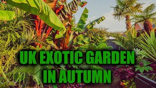 UK Exotic Garden in September [upl. by Drue]