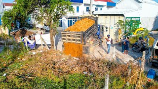 First Start New Project Landfill by Dozer KOMATSU D20P Pushing Soil Bury The Grass with 5Ton Truck [upl. by Jer]