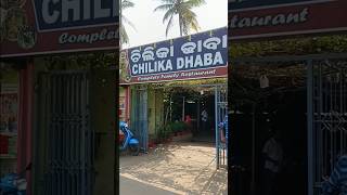 Lunch in Chilika Dhaba Near Balugan and Chilika shorts [upl. by Annocahs240]