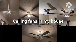 Ceiling fans in my house December 2024 5 ceiling fan demonstration [upl. by Veronika]