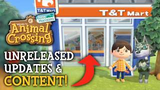 Unreleased FEATURES amp UPDATES in Animal Crossing New Horizons [upl. by Ahseile]