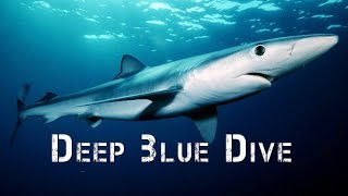 Adventure Africa  Deep Ocean Diving [upl. by Adnovad]