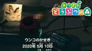 ウ○コの化石の話に興味がありすぎてカブ買い損ねかけた 30【あつまれ どうぶつの森】 [upl. by Strephonn]