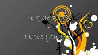 Stromae  Te Quiero  Lyrics on screen French  English [upl. by Yonatan]