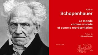 SCHOPENHAUER Le Monde comme Volonté et comme Représentation  LIVRE 1 en entier [upl. by Ciardap166]