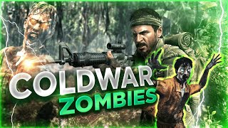 COLD WAR ZOMBIES HAUPT EASTER EGG JAGD DEUTSCH [upl. by Ailedua229]