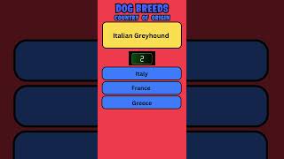 Dog Breeds origin Quiz 9 flashquiz quiz english [upl. by Ludwog]