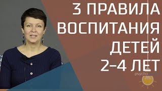 3 правила воспитания ребенка от 2 до 4 лет Психология переходного возраста [upl. by Acinorehs]