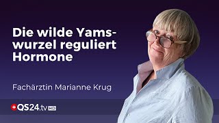 Die wilde Yamswurzel reguliert Hormone  Fachärztin Marianne Krug  Mythos  QS24 [upl. by Marcile445]