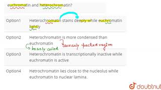 Which of the following is not a difference between euchromatin and heterochromatin [upl. by Mccandless156]