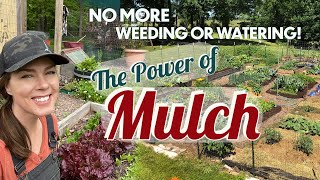 Why to Mulch and Best Natural Mulches [upl. by Kleinstein]