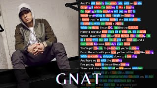 Eminem  Gnat  Lyrics Rhymes Highlighted [upl. by Kanter]