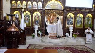 Divine Holy Liturgy  English  23062024 [upl. by Yssac591]