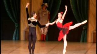 N Osipova amp I Vasiliev  Don Quixote Pas de Deux  2008 [upl. by Bax838]