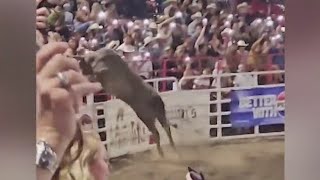 Bull leaps fence at Sisters Rodeo injures 3 [upl. by Ingrim895]