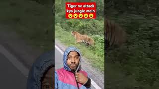 TIGER NE ATTACK KYA JUNGLE MEIN😮 [upl. by Inahpit464]