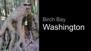 BirchBay State Park Washington [upl. by Arahat552]