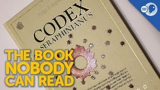 The Book Nobody Can Read Codex Seraphinianus [upl. by Aimahs236]