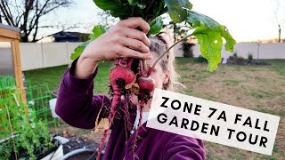 Tour my zone 7 fall garden with me to see what Im growing [upl. by Atilef]