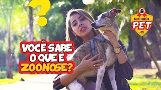 UM HERÓI PET  O QUE SÃO ZOONOSES [upl. by Nonna]