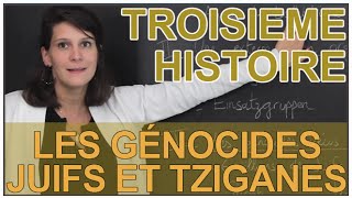 Les génocides Juifs et Tziganes  Histoire  3e  Les Bons Profs [upl. by Llerdnad169]