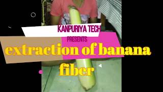 extraction of banana fiber [upl. by Eerised]