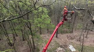 92 spider lift pruning trees in high winds [upl. by Dena567]