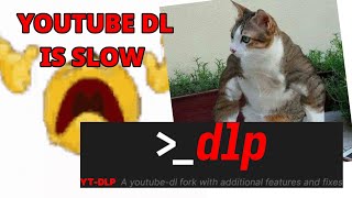 STOP USING YOUTUBEDL [upl. by Berti]