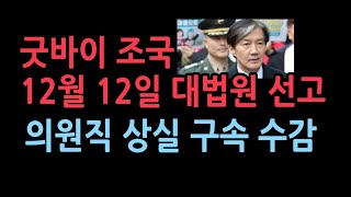 조국 12월 12일 의원직 상실 구속 수감 피선거권 박탁재판지연의 전형 기소후 5년 걸려 최종판결 [upl. by Varden758]