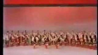 Hopak  Ukrainian dance [upl. by Hock179]