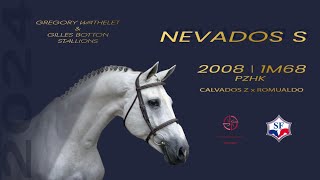 Nevados S  Grégory Wathelet amp Gilles Botton Stallions [upl. by Metcalf]