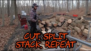 172 Firewood Cut Split Stack Repeat with RuggedMade Log Splitter [upl. by Dori]