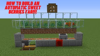 How to build an AUTOMATIC SWEET BERRIES FARM in Minecraft [upl. by Park882]