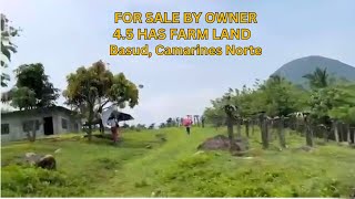 45 HAS FARMLOT FOR SALE [upl. by Patterman488]