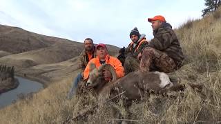 Bighorn Sheep Hunt  2015 WA STATE RIFLE [upl. by Hearn]