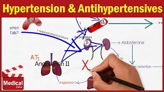 Pharmacology  Hypertension and Antihypertensive Drugs FROM A TO Z [upl. by Edith210]