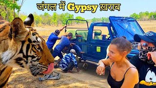 जंगल में Gypsy खराब  Banbehi Tigress Cub  Bandhavgarh national park  Bandhavgarh  Jungle safari [upl. by Ayamahs799]